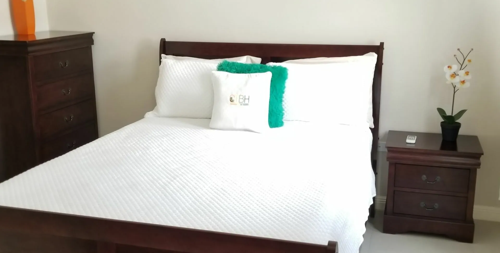 New Kingston Guest Apt At Kingsway Apartment